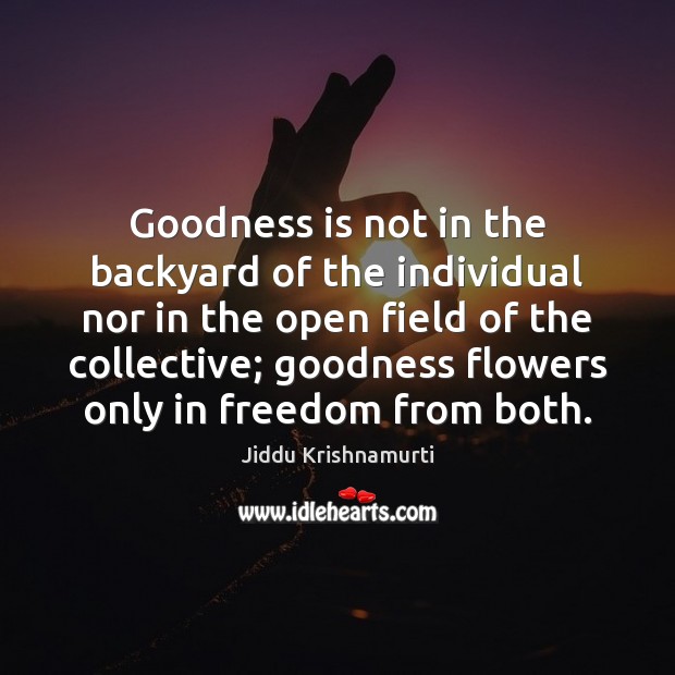 Goodness is not in the backyard of the individual nor in the Jiddu Krishnamurti Picture Quote