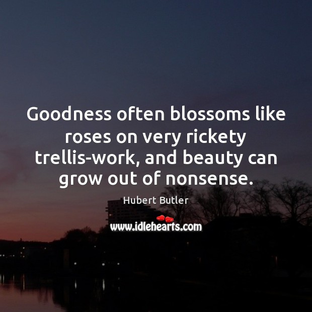 Goodness often blossoms like roses on very rickety trellis-work, and beauty can Hubert Butler Picture Quote