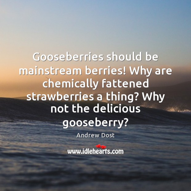 Gooseberries should be mainstream berries! Why are chemically fattened strawberries a thing? Andrew Dost Picture Quote