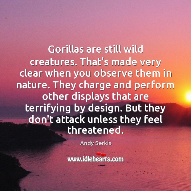 Gorillas are still wild creatures. That’s made very clear when you observe Andy Serkis Picture Quote