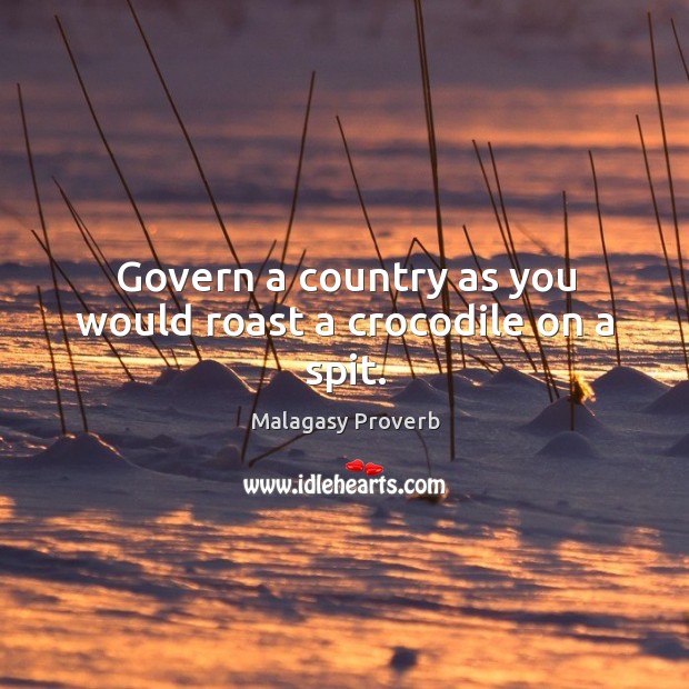 Govern a country as you would roast a crocodile on a spit. Malagasy Proverbs Image
