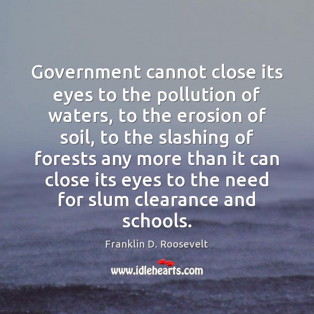 Government cannot close its eyes to the pollution of waters, to the Franklin D. Roosevelt Picture Quote