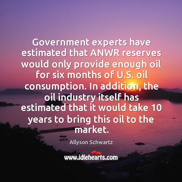 Government experts have estimated that anwr reserves would only provide enough oil for six months of u.s. Oil consumption. Allyson Schwartz Picture Quote