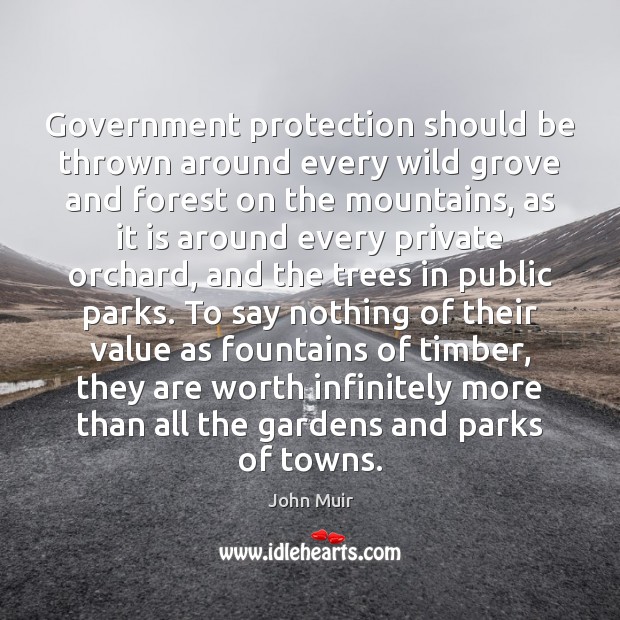 Government protection should be thrown around every wild grove and forest on John Muir Picture Quote