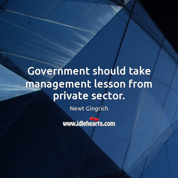 Government should take management lesson from private sector. Newt Gingrich Picture Quote
