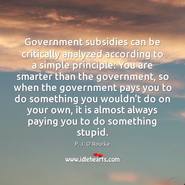 Government subsidies can be critically analyzed according to a simple principle: You P. J. O’Rourke Picture Quote