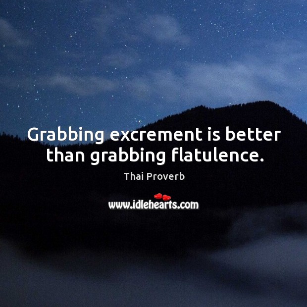 Grabbing excrement is better than grabbing flatulence. Thai Proverbs Image