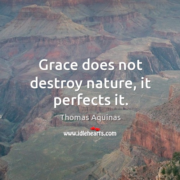 Grace does not destroy nature, it perfects it. Image