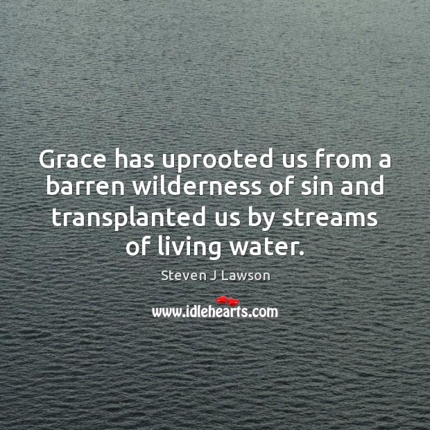 Grace has uprooted us from a barren wilderness of sin and transplanted Steven J Lawson Picture Quote