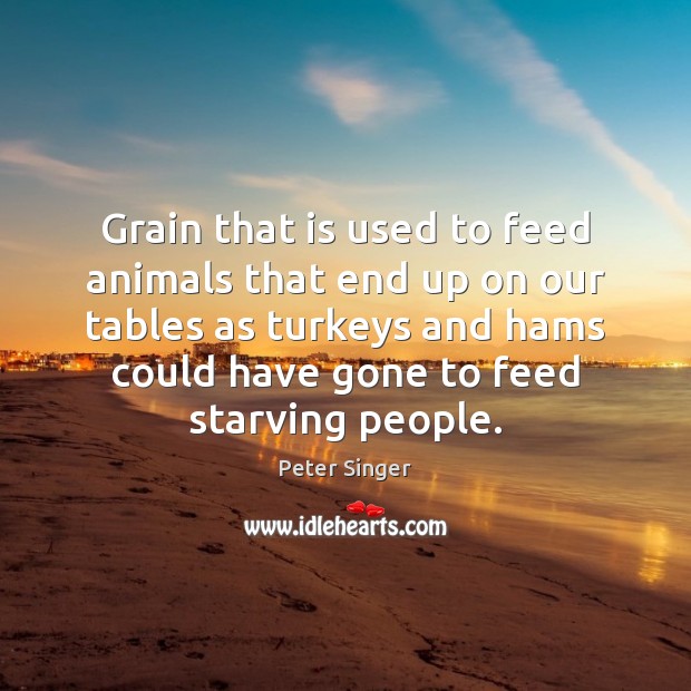 Grain that is used to feed animals that end up on our Image