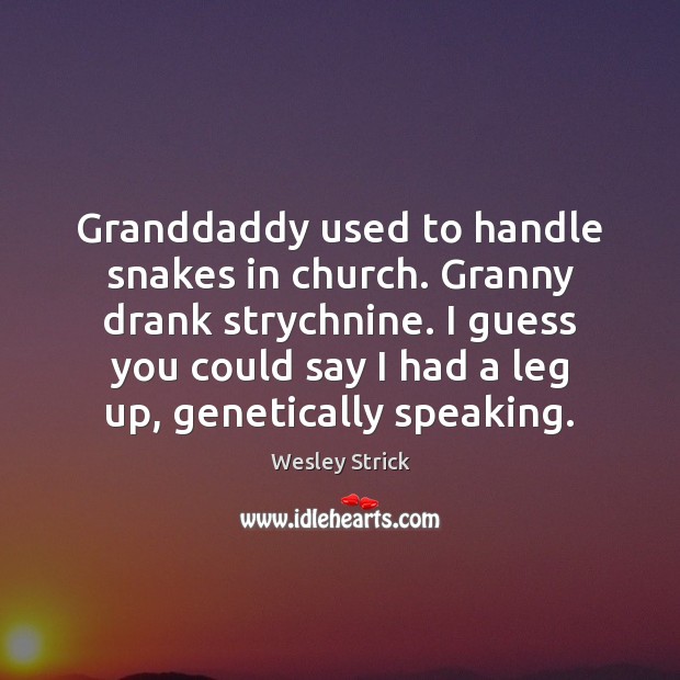 Granddaddy used to handle snakes in church. Granny drank strychnine. I guess Wesley Strick Picture Quote