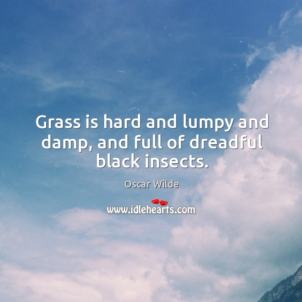 Grass is hard and lumpy and damp, and full of dreadful black insects. Oscar Wilde Picture Quote
