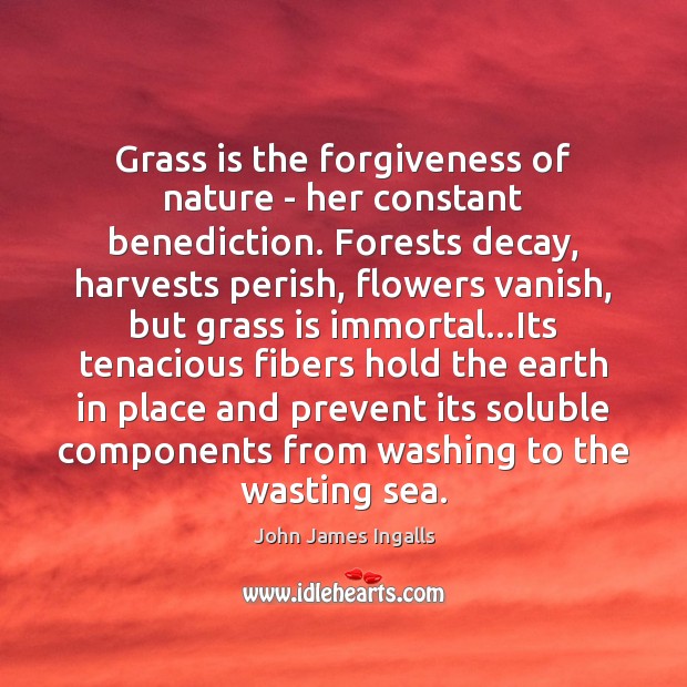 Grass is the forgiveness of nature – her constant benediction. Forests decay, John James Ingalls Picture Quote