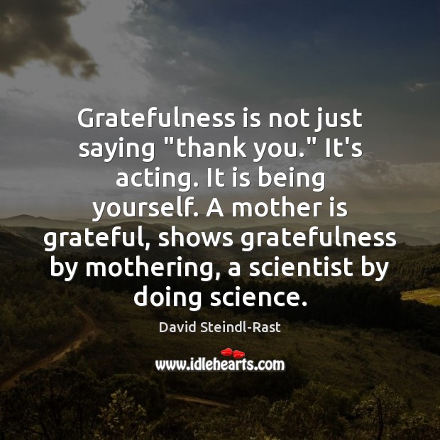 Gratefulness is not just saying “thank you.” It’s acting. It is being David Steindl-Rast Picture Quote