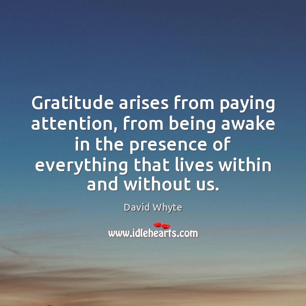Gratitude arises from paying attention, from being awake in the presence of David Whyte Picture Quote