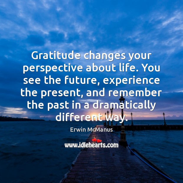 Gratitude changes your perspective about life. You see the future, experience the Erwin McManus Picture Quote