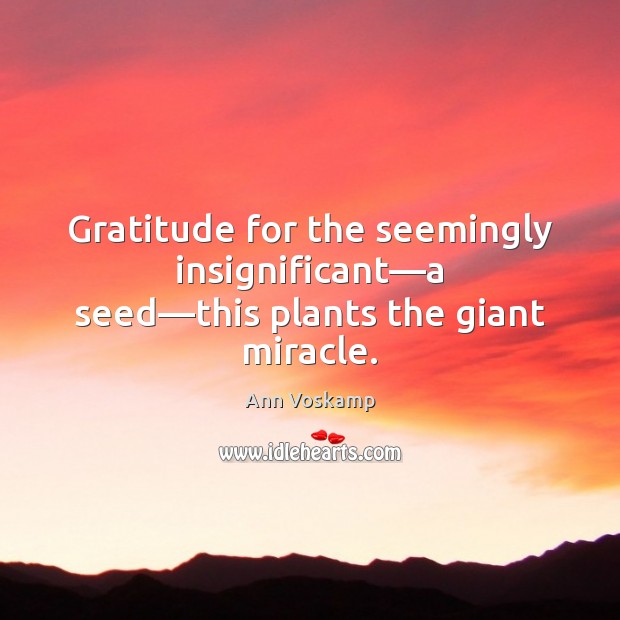 Gratitude for the seemingly insignificant—a seed—this plants the giant miracle. Ann Voskamp Picture Quote