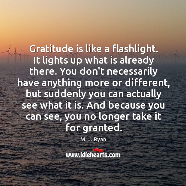 Gratitude is like a flashlight. It lights up what is already there. M. J. Ryan Picture Quote