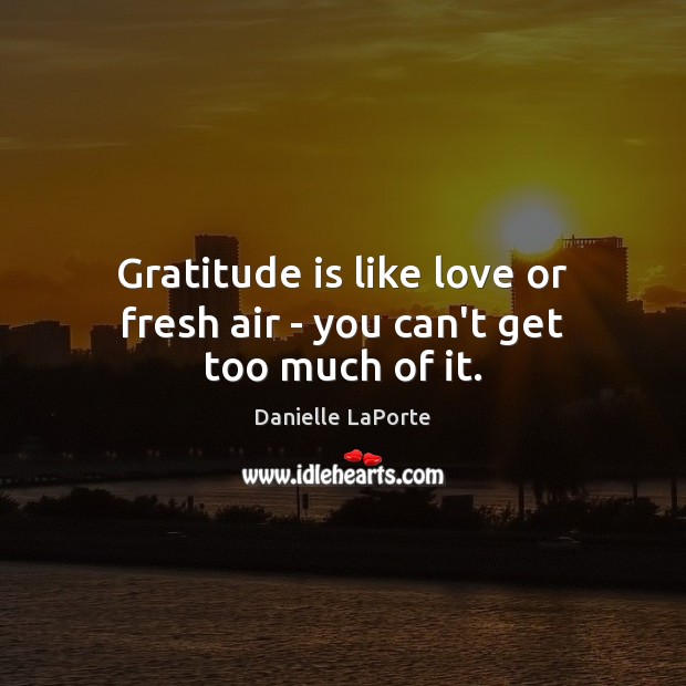 Gratitude is like love or fresh air – you can’t get too much of it. Image