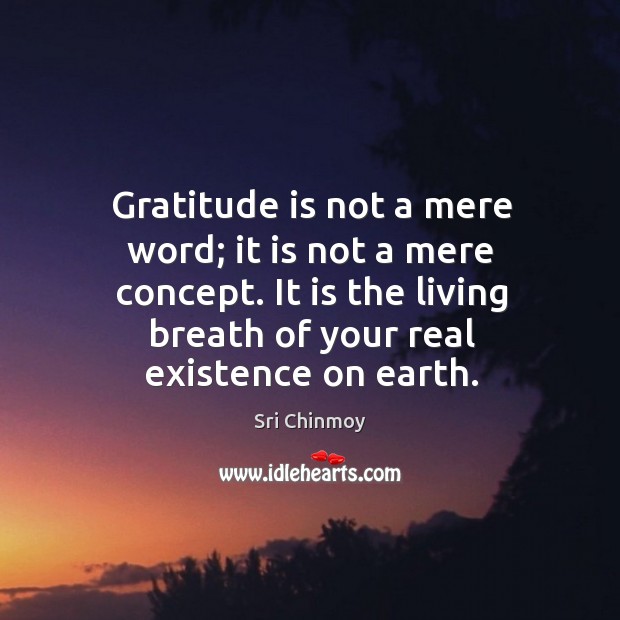Gratitude is not a mere word; it is not a mere concept. Sri Chinmoy Picture Quote