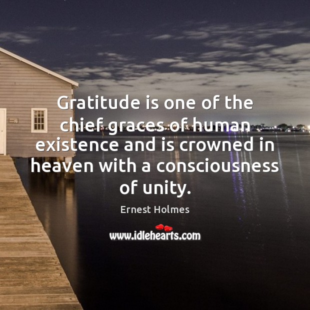 Gratitude is one of the chief graces of human existence and is Gratitude Quotes Image