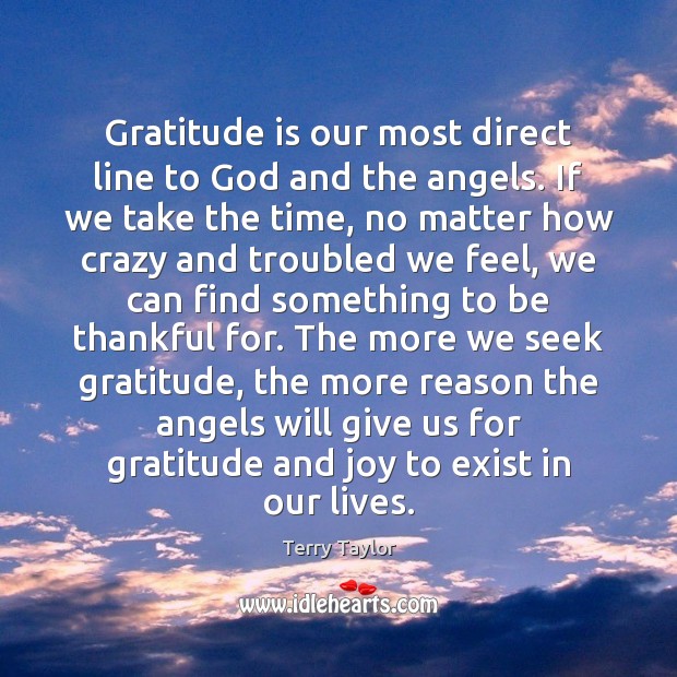 Gratitude is our most direct line to God and the angels. If Terry Taylor Picture Quote