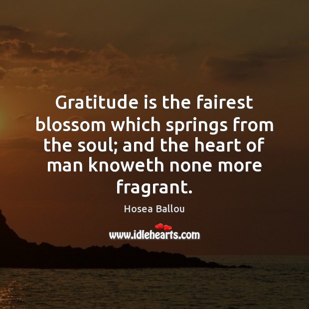 Gratitude is the fairest blossom which springs from the soul; and the Hosea Ballou Picture Quote