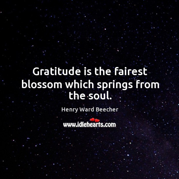 Gratitude is the fairest blossom which springs from the soul. Gratitude Quotes Image