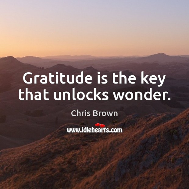 Gratitude is the key that unlocks wonder. Chris Brown Picture Quote