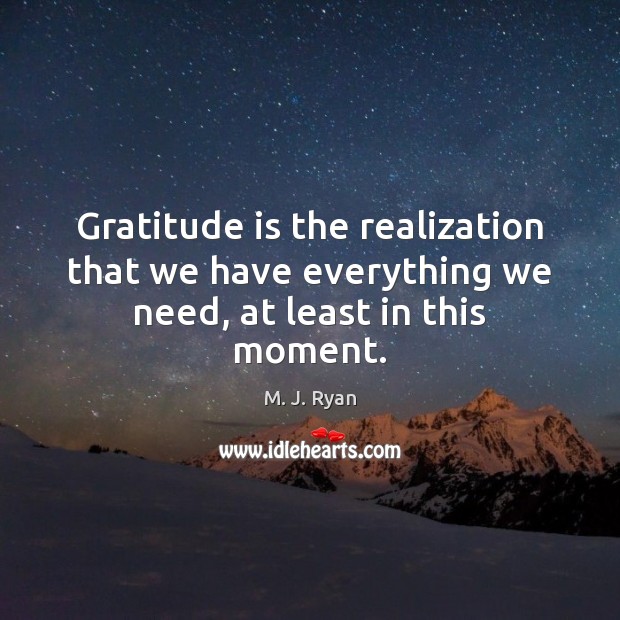 Gratitude is the realization that we have everything we need, at least in this moment. M. J. Ryan Picture Quote