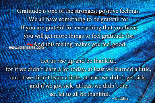 Gratitude is one of the strongest positive feelings. Buddha Picture Quote