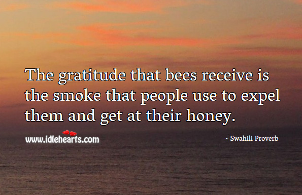 The gratitude that bees receive is the smoke that people use to expel them and get at their honey. Swahili Proverbs Image