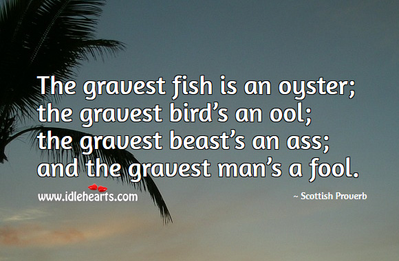 The gravest man is a fool. Scottish Proverbs Image
