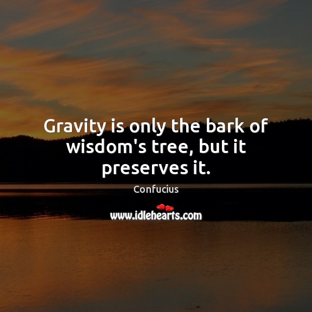 Gravity is only the bark of wisdom’s tree, but it preserves it. Image
