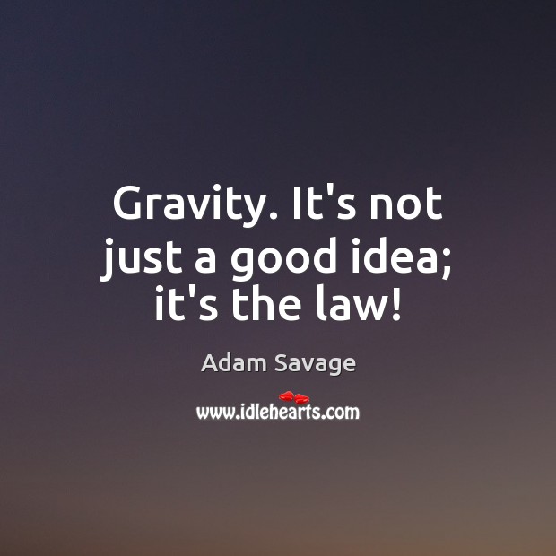 Gravity. It’s not just a good idea; it’s the law! Adam Savage Picture Quote