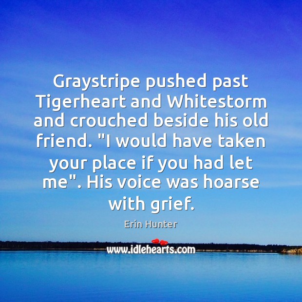 Graystripe pushed past Tigerheart and Whitestorm and crouched beside his old friend. “ Image