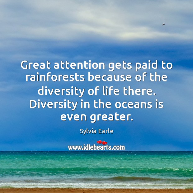 Great attention gets paid to rainforests because of the diversity of life Sylvia Earle Picture Quote