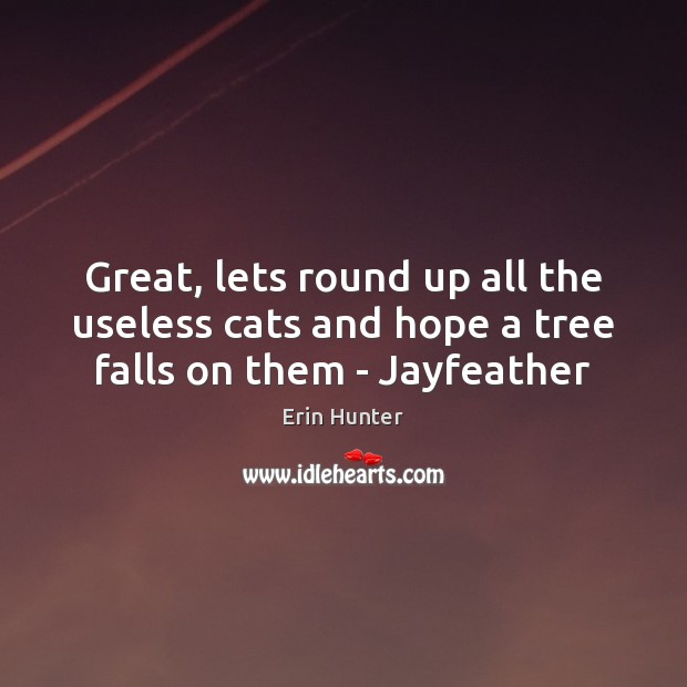 Great, lets round up all the useless cats and hope a tree falls on them – Jayfeather Erin Hunter Picture Quote