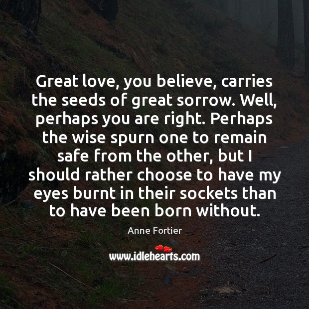 Great love, you believe, carries the seeds of great sorrow. Well, perhaps Anne Fortier Picture Quote