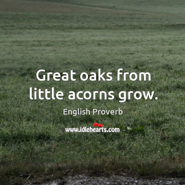 Great oaks from little acorns grow. English Proverbs Image