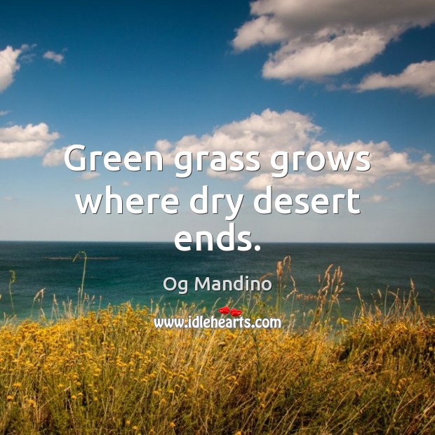 Green grass grows where dry desert ends. Image
