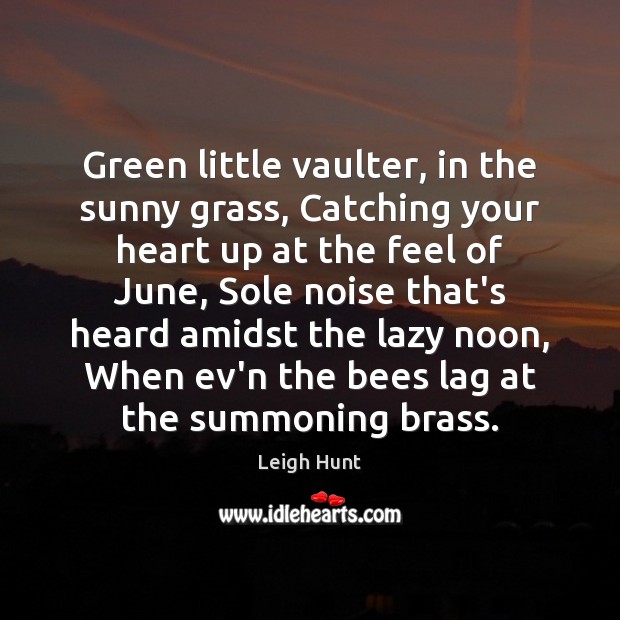 Green little vaulter, in the sunny grass, Catching your heart up at Image