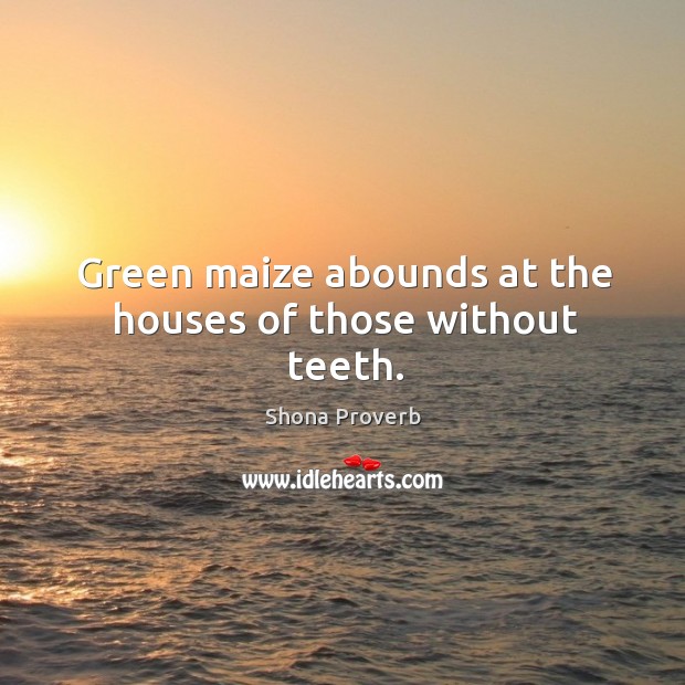 Green maize abounds at the houses of those without teeth. Shona Proverbs Image