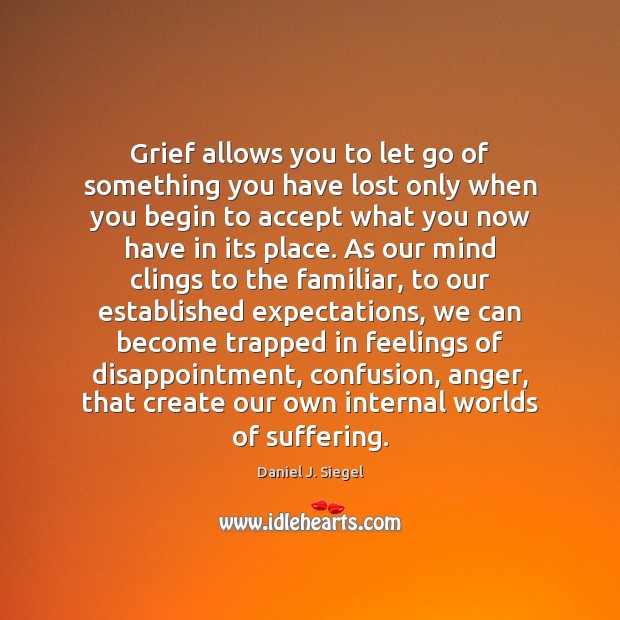 Grief allows you to let go of something you have lost only Image