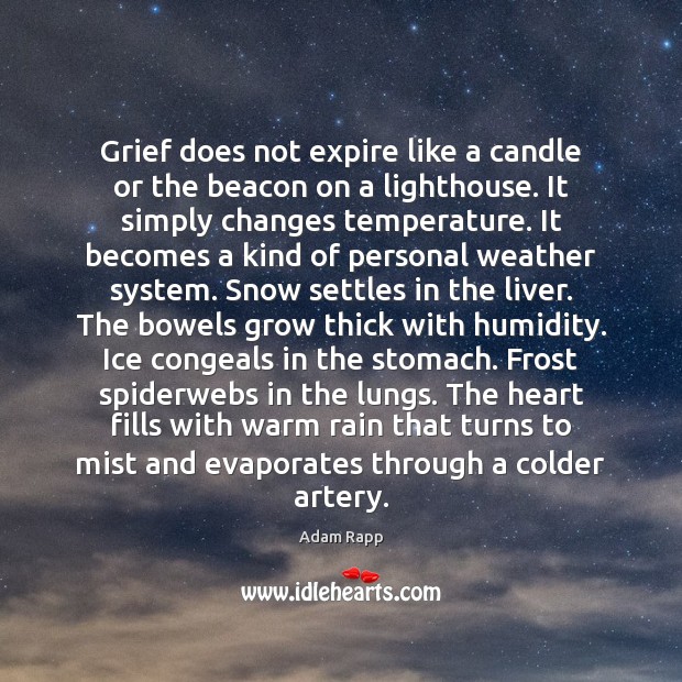 Grief does not expire like a candle or the beacon on a Adam Rapp Picture Quote