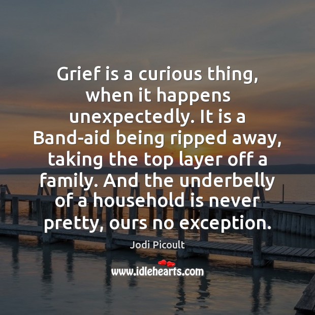 Grief is a curious thing, when it happens unexpectedly. It is a Jodi Picoult Picture Quote
