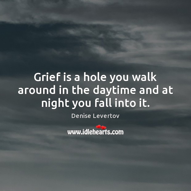 Grief is a hole you walk around in the daytime and at night you fall into it. Image