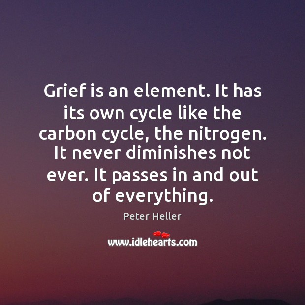 Grief is an element. It has its own cycle like the carbon Peter Heller Picture Quote