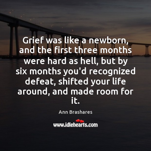 Grief was like a newborn, and the first three months were hard Ann Brashares Picture Quote