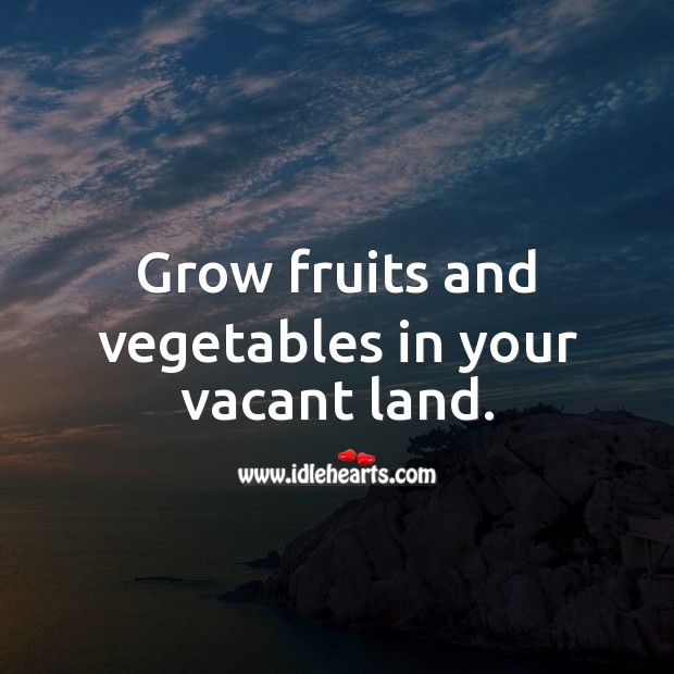 Grow fruits and vegetables in your vacant land. Agriculture Quotes Image